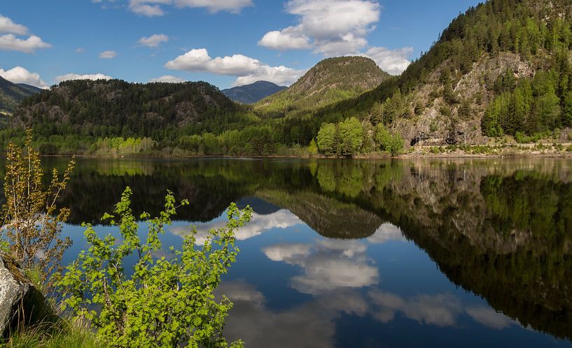 Hallingdal, Norwegen von Adelheid Smitt