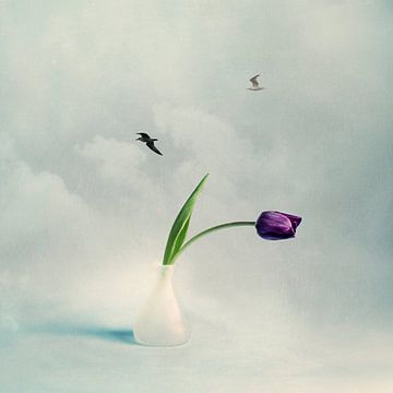 Dans les nuages avec une tulipe violette sur Mariska Vereijken