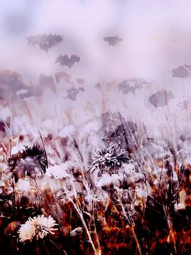 The Fields XXXVIII by Zand