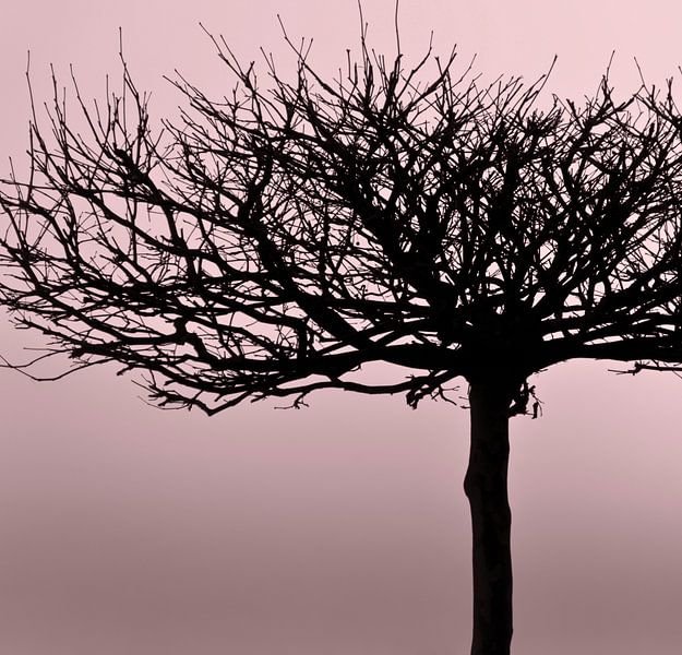 Natural beauty - red clay by Kirsten Warner