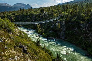 Yukon rivier in Canada van Roland Brack