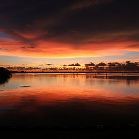 Sunset by Joyce Loffeld