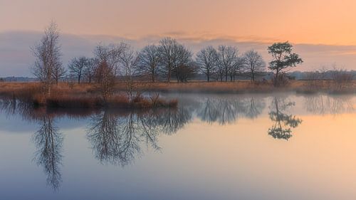Zonsopkomst in het Nationaal Park Dwingelderveld