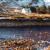 Wee White house Glencoe van Sonny Vermeer