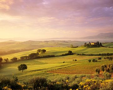 Sonnenaufgang im Val d'Orcia, Toskana, Italien von Markus Lange