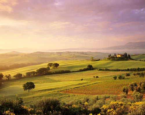 Sunrise in Val d'Orcia, Tuscany, Italy