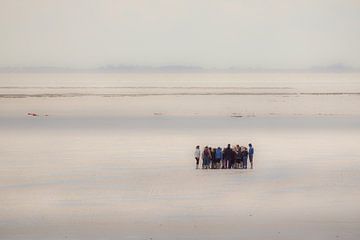 Wadlopen sur Kees Maas