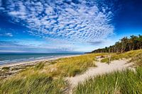 Ostsee - auf dem Darß