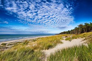 Ostsee - auf dem Darß von Reiner Würz / RWFotoArt