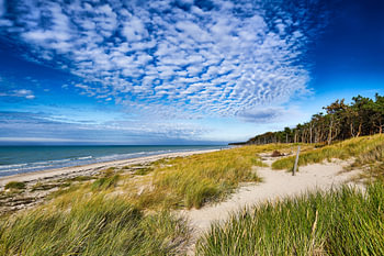 Ostsee - auf dem Darß
