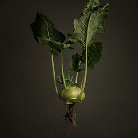 Gemüse der Saison - Kohlrabi aus Freilandanbau von Mariska Vereijken