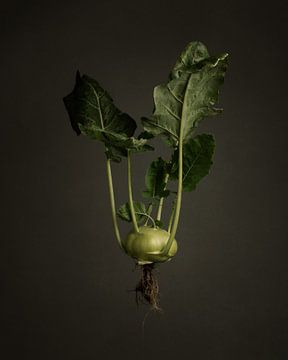 Seasonal vegetables - Kohlrabi from outdoors by Mariska Vereijken