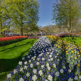 Jardin de bulbes à fleurs et parc De Keukenhof, Lisse, , Hollande méridionale, Pays-Bas, sur Rene van der Meer
