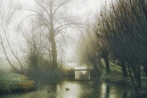 Nebel im Polder von Yvonne Blokland