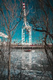 Elphi by thePhilograph