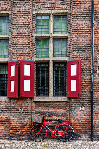 The red bicycle