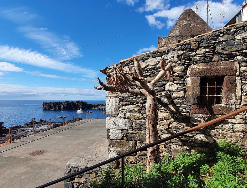 Madeira #32 by zam art