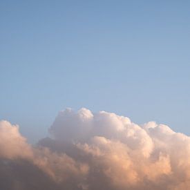 Vogel en wolk van Joost de Groot