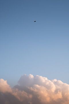 Vogel und Wolke von Joost de Groot