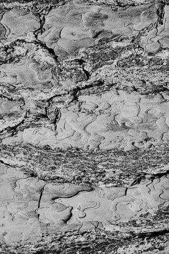 Texture de l'écorce d'un arbre en noir et blanc 1 | Photographie de nature, Abstrait sur Merlijn Arina Photography
