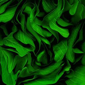 Smaragdgroen gebladerte van LUDMILA SHUMILOVA
