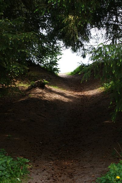 Een weg omhoog by Peter Hartman