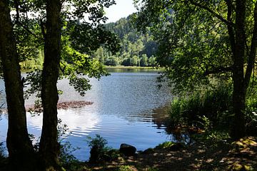 Nonnenmattweiher- im Schwarzwald 5.0