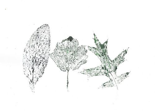 Schilderij van drie blaadjes