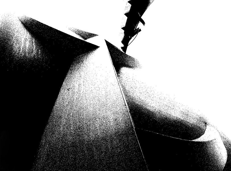 Noise. by Leendert van Luik