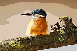 IJsvogel op tak van Michar Peppenster