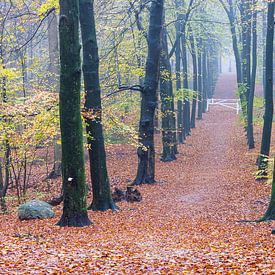 Das Tor der Stille von Daan van Oort