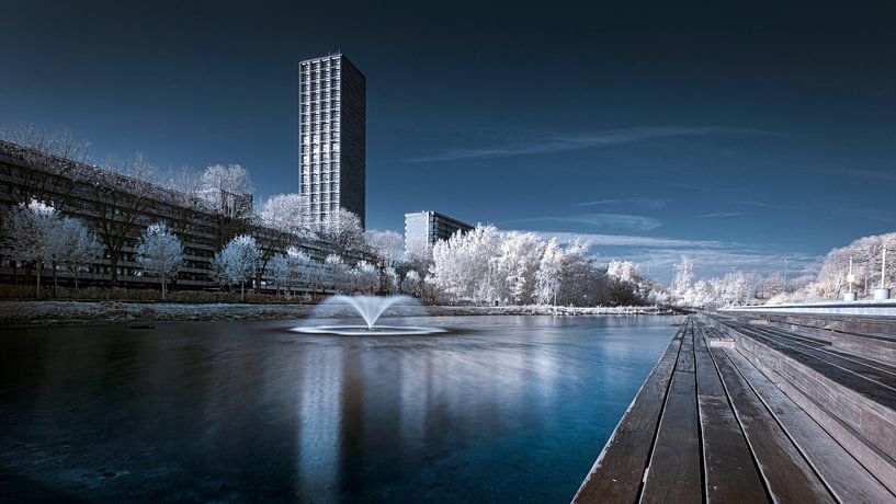Piste infrarouge parc étang par Joris Buijs Fotografie