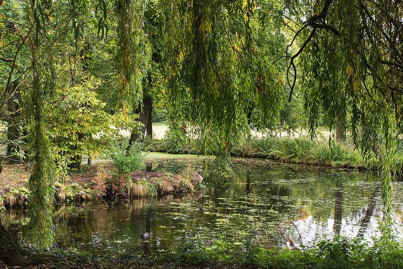 Park Pietersheim. by Harrie Eickenboom