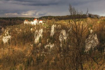 Kasteel Wildenstein bij Leibertingen in het natuurpark Opper-Donau van BlattArt - Christine Horn