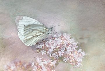 Schmetterling im Vintage-Look von natascha verbij