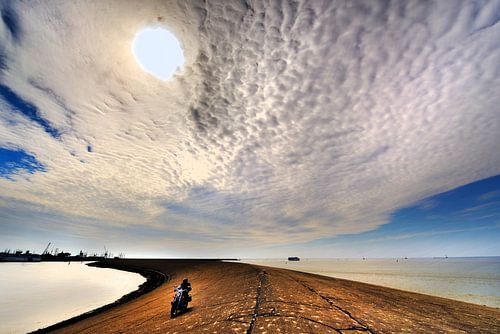 Harlinger havenhoofd