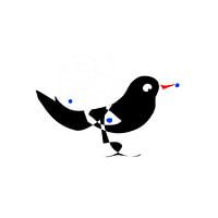 Black birdy with blue berries