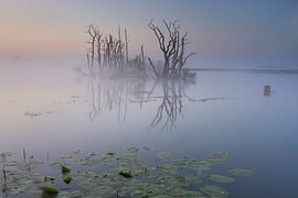 Nebliger Sonnenaufgang in Tusschenwater, De Groeve.