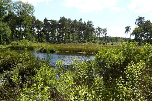 unieke natuur locatie