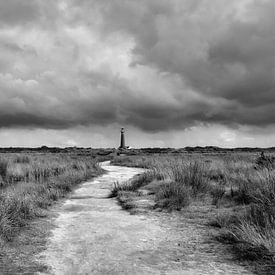 Vuurtoren (de Noordertoren) Schiermonnikoog van Jeroen Sloot