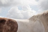 Landschaft mit Pferd