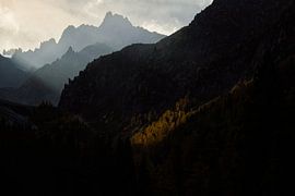 Autumn by Esther Smit-Branderhorst