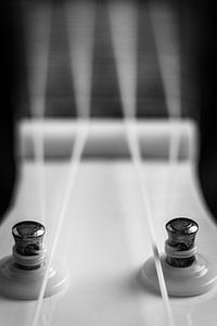 Cordes Ukeles