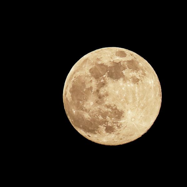 Red blood moon by Andrea de Grauw