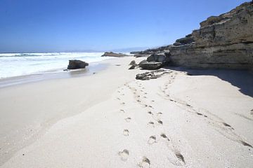 Strand Zuid Afrika van Petervanderlecq