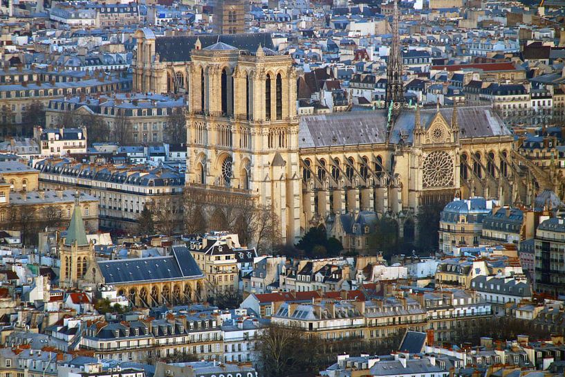 Notre Dame de Paris par Michaelangelo Pix