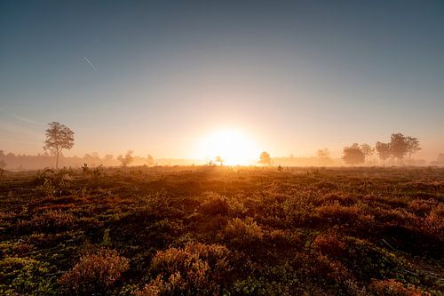 Warme zonsopkomst aan horizon van heidelandschap