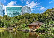 Shiori-no-ike vijver van Hama-rikyū Gardens weerspiegelt in het water van Kuremo Kuremo thumbnail