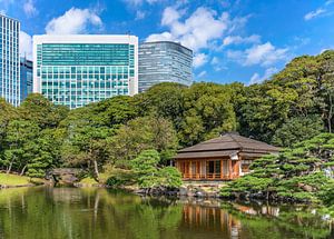 Shiori-no-ike vijver van Hama-rikyū Gardens weerspiegelt in het water van Kuremo Kuremo