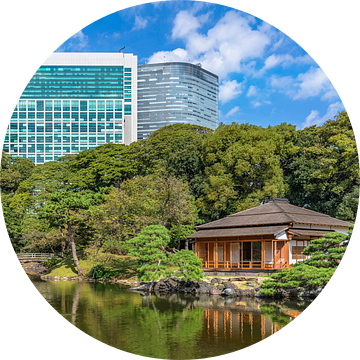 Shiori-no-ike vijver van Hama-rikyū Gardens weerspiegelt in het water van Kuremo Kuremo